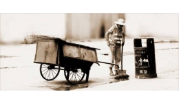 公益行动｜你是城市黄玫瑰，我做光明守护者