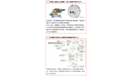 视野检查的“假性检查结果”判定